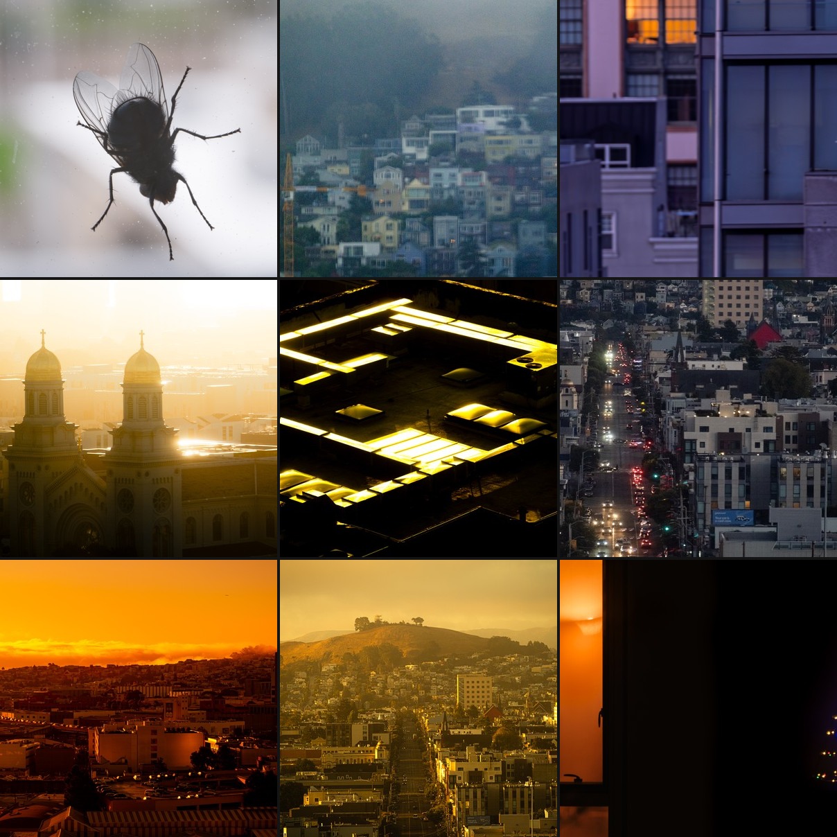 SigilAtlas — a neighborhood from the atlas, showing images organized by visual temperature